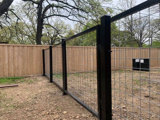 Dog Fencing