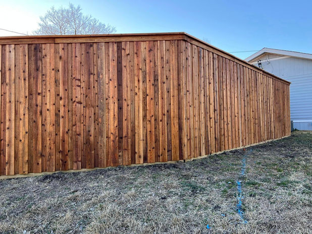 Privacy Fencing