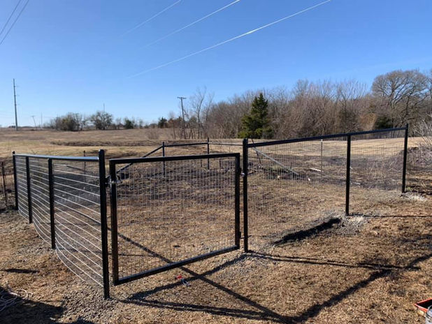 Dog Fencing