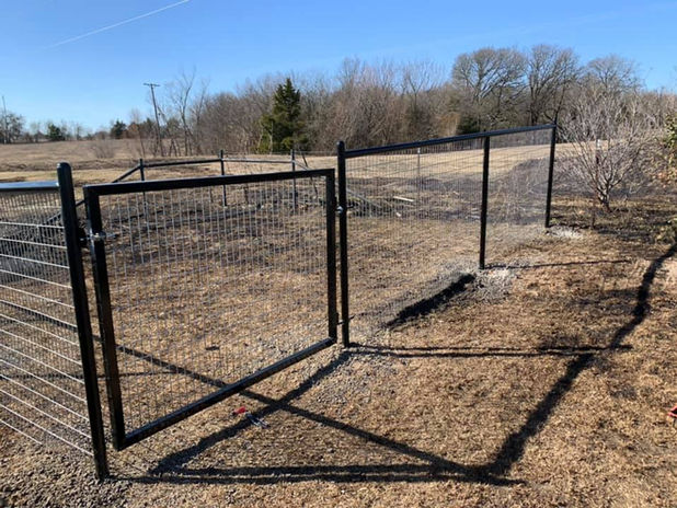 Dog Fencing