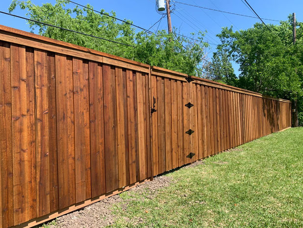 Privacy Fencing