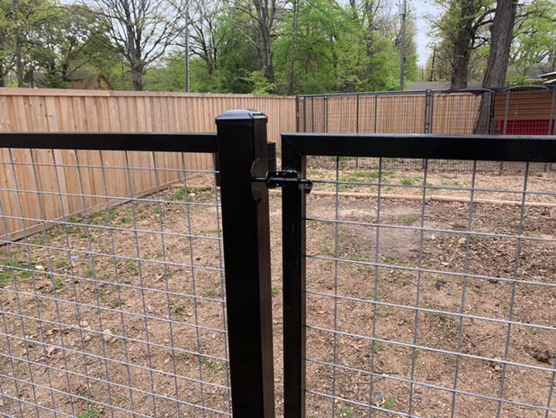 Dog Fencing