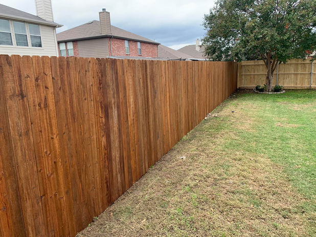 Privacy Fencing