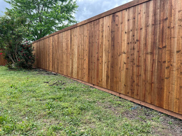 Privacy Fencing